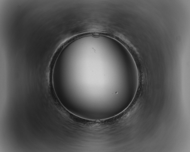 X0000093501222200710121507