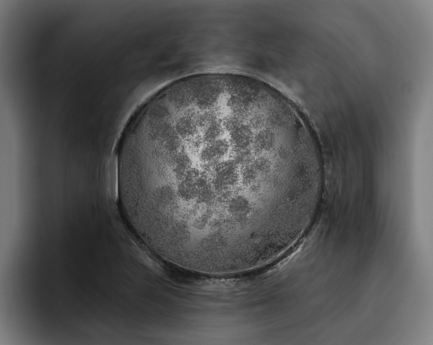 X0000093501223200710121507