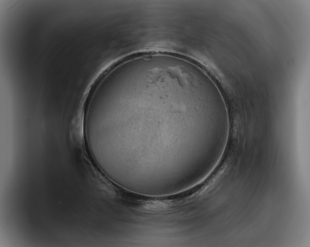 X0000093501224200710121507