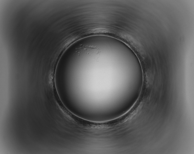 X0000093501225200710121507