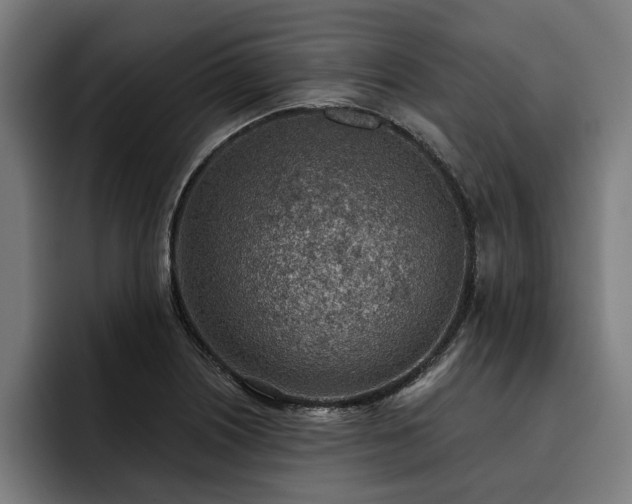 X0000093501226200710121507