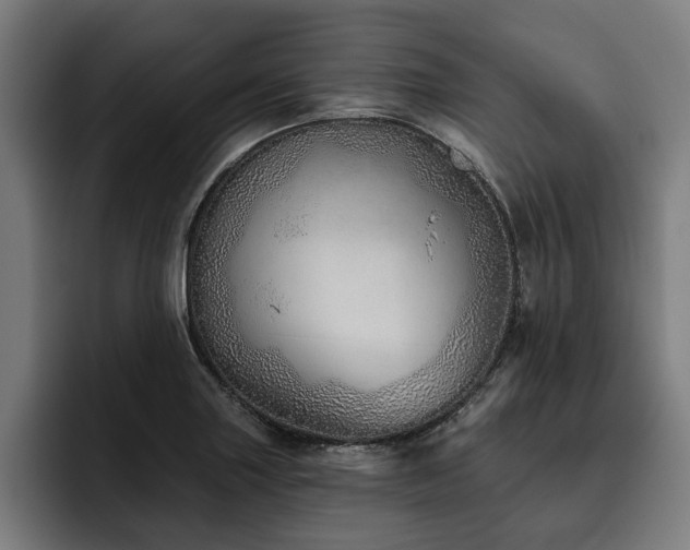 X0000093501227200710121507
