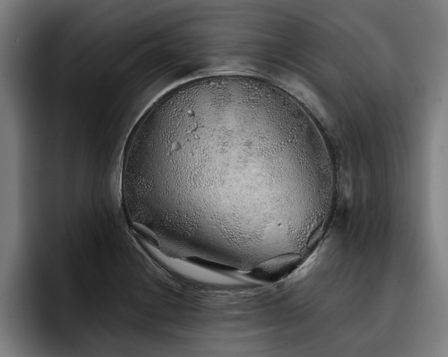 X0000093501228200710121507