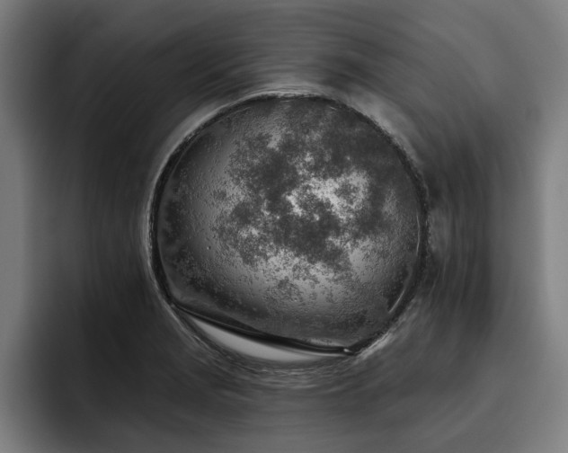 X0000093501229200710121507