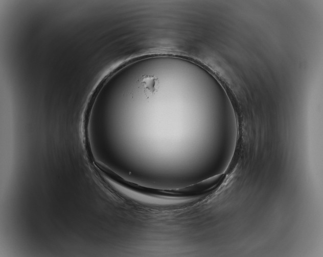 X0000093501230200710121507