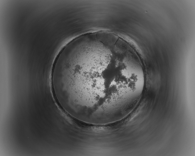 X0000093501231200710121507