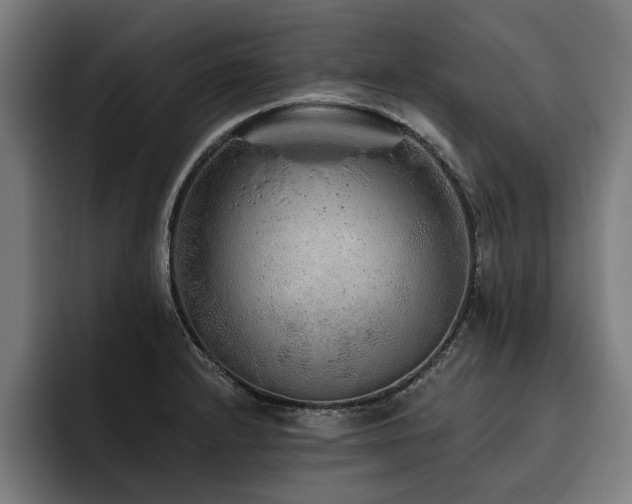 X0000093501232200710121507