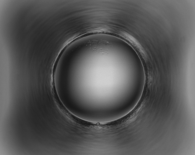 X0000093501234200710121507