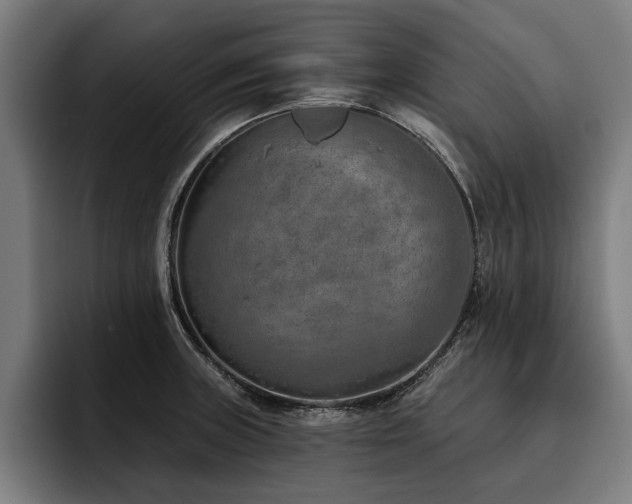 X0000093501235200710121507