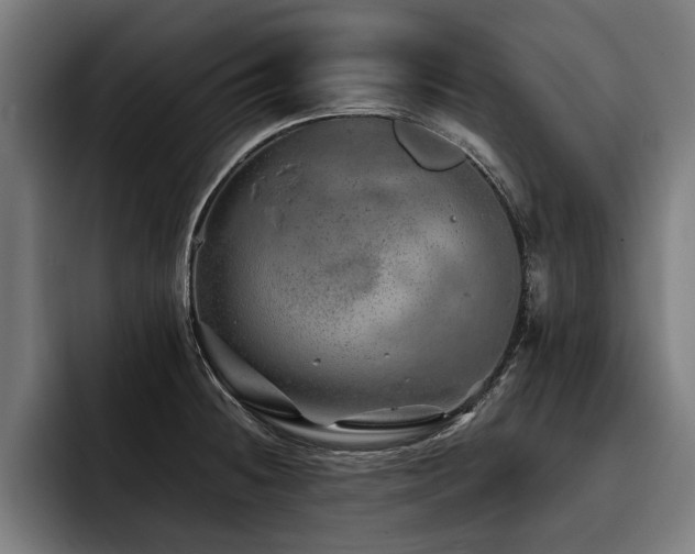 X0000093501236200710121507