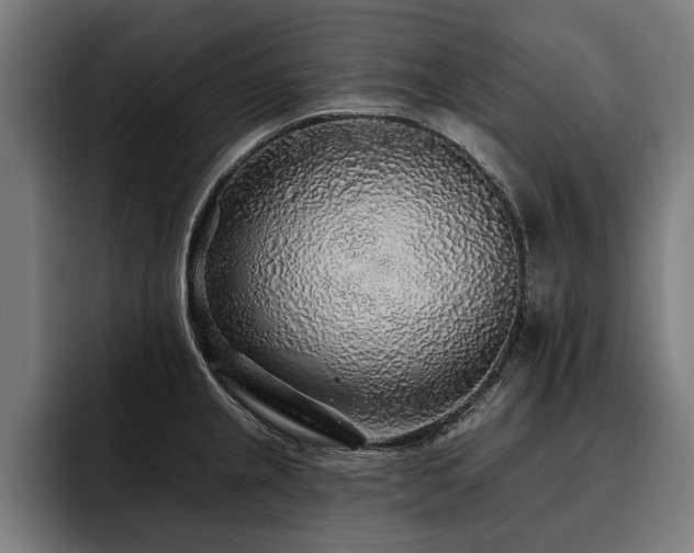 X0000093501237200710121507