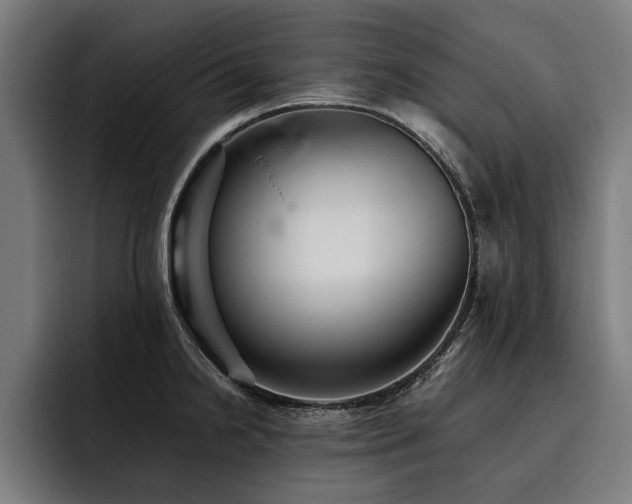 X0000093501238200710121507