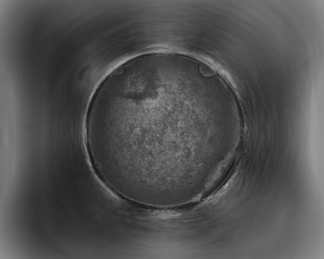 X0000093501239200710121507