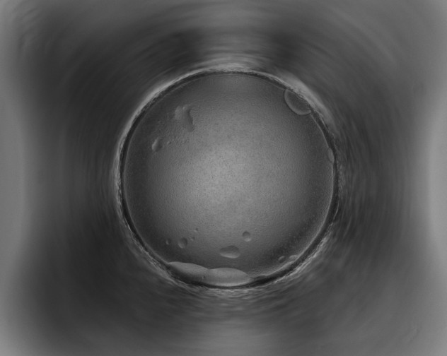 X0000093501240200710121507