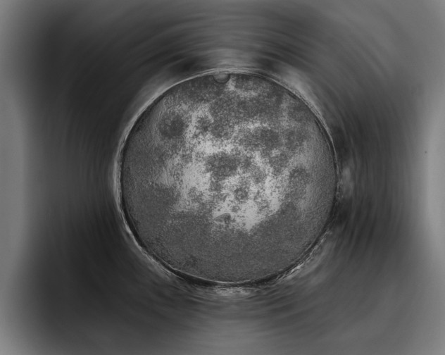 X0000093501243200710121507