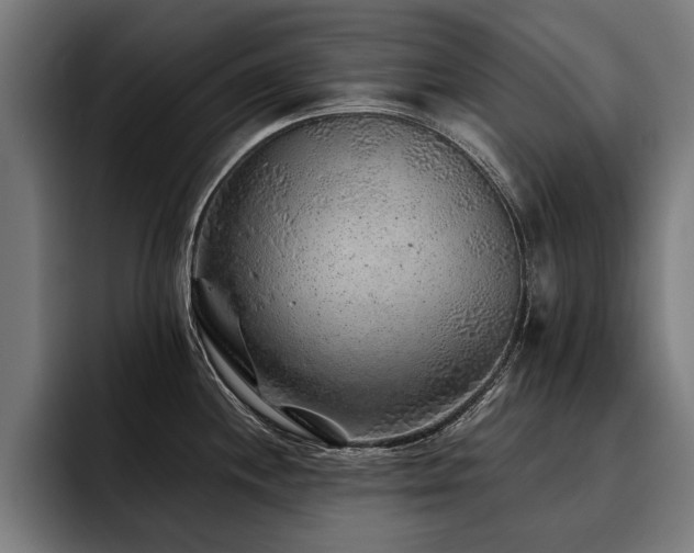X0000093501244200710121507