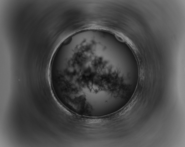 X0000093501247200710121507