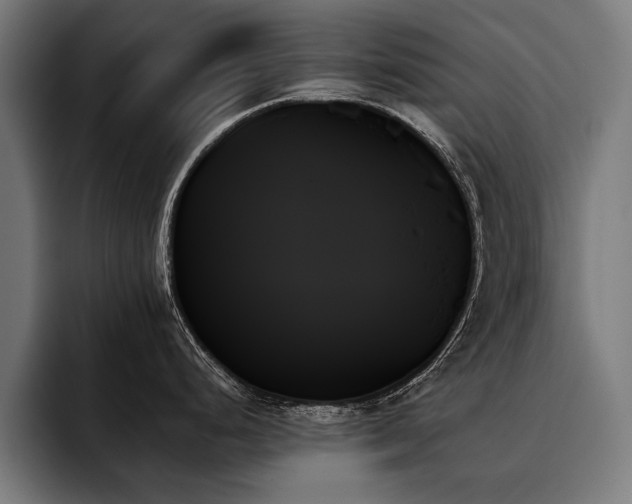 X0000093501248200710121507