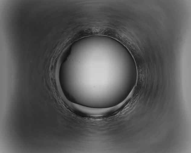 X0000093501249200710121507