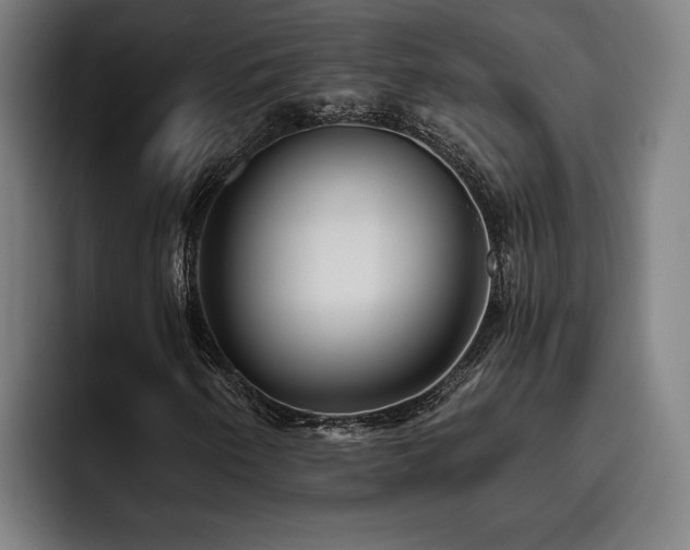 X0000093501250200710121507