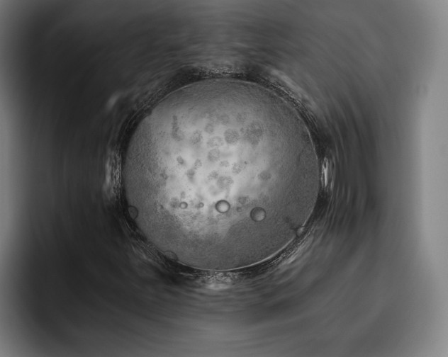 X0000093501251200710121507