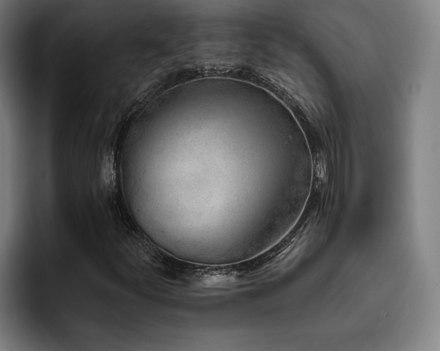 X0000093501252200710121507