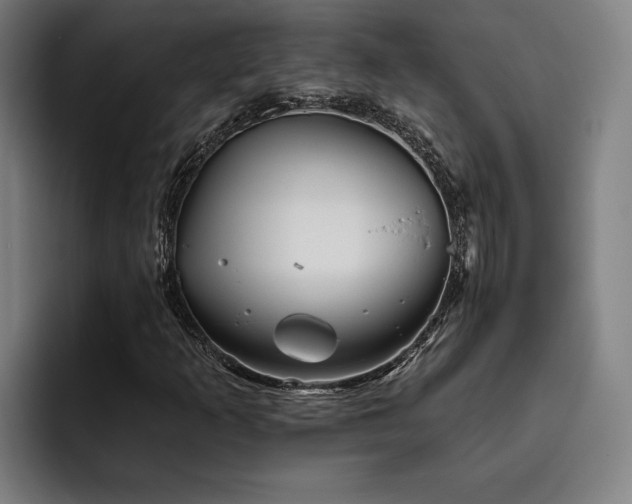X0000093501253200710121507