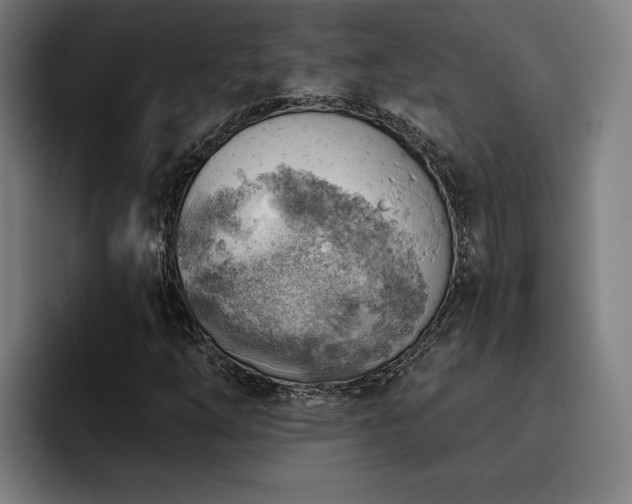 X0000093501254200710121507
