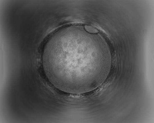 X0000093501255200710121507