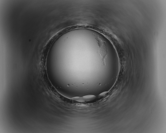 X0000093501256200710121507