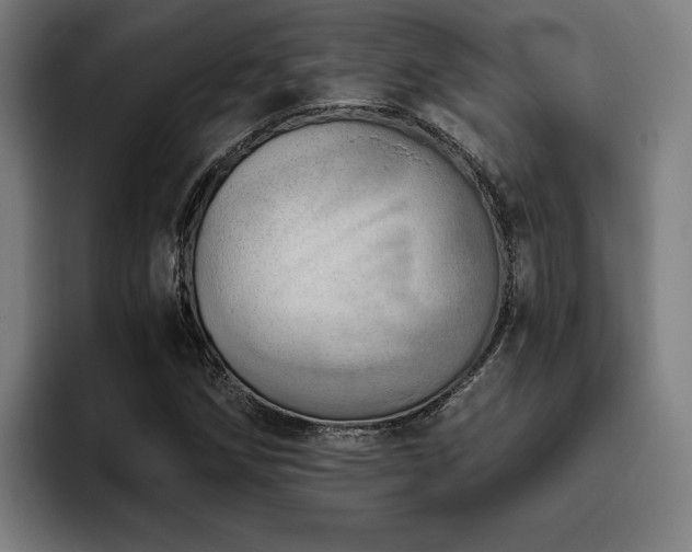 X0000093501258200710121507