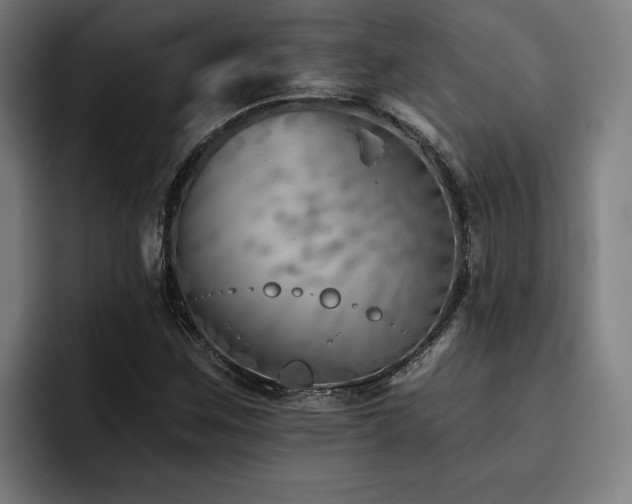 X0000093501259200710121507