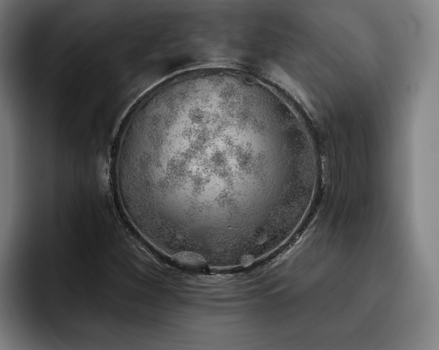 X0000093501260200710121507