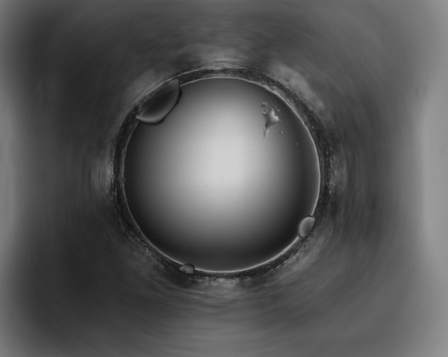 X0000093501261200710121507