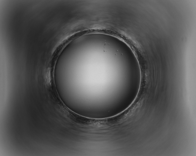 X0000093501262200710121507