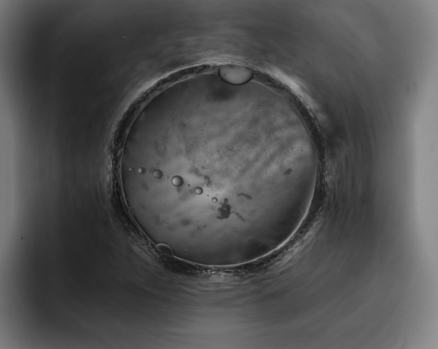 X0000093501263200710121507