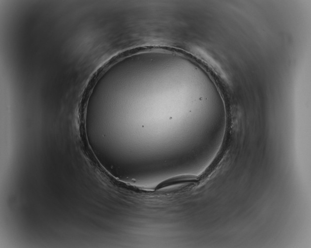 X0000093501264200710121507