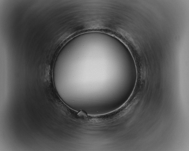 X0000093501265200710121507