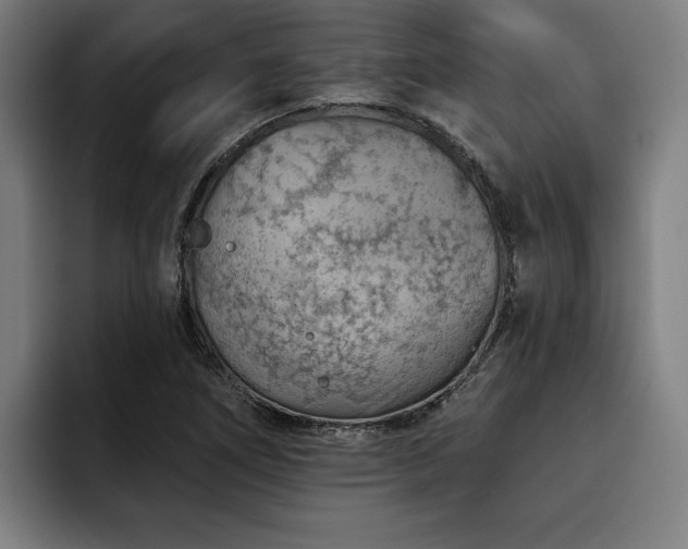X0000093501266200710121507