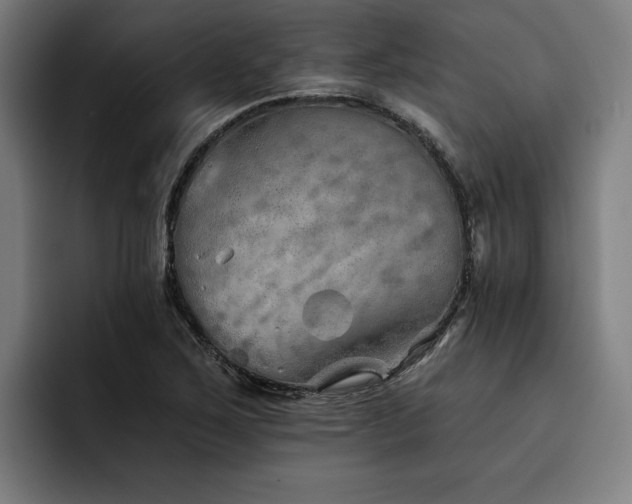 X0000093501267200710121507