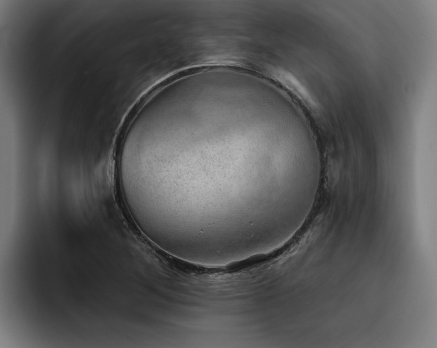 X0000093501268200710121507