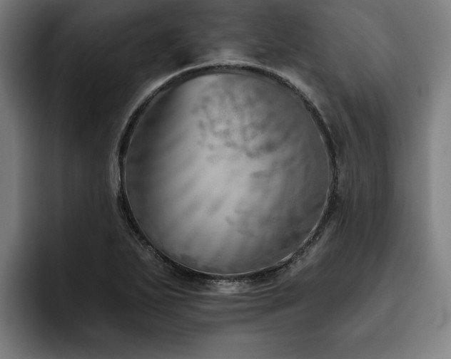 X0000093501271200710121507