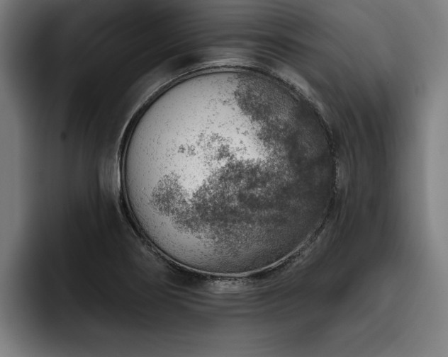 X0000093501274200710121507