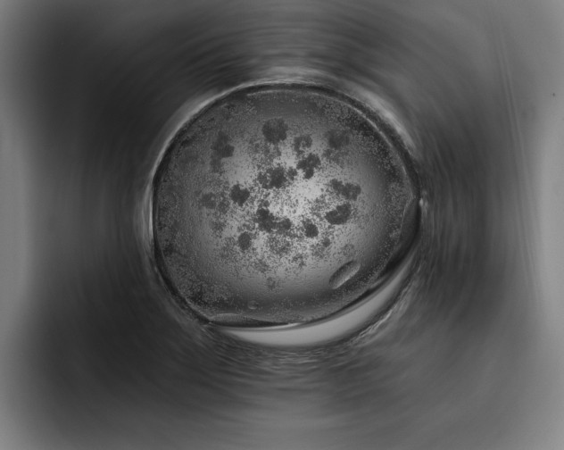 X0000093501275200710121507