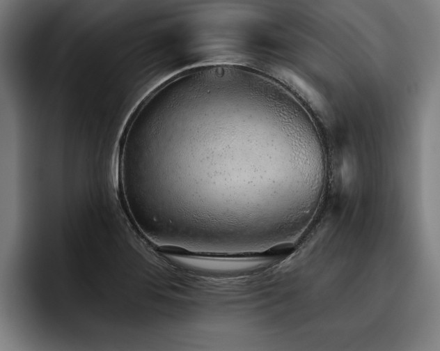 X0000093501276200710121507
