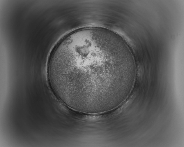 X0000093501278200710121507