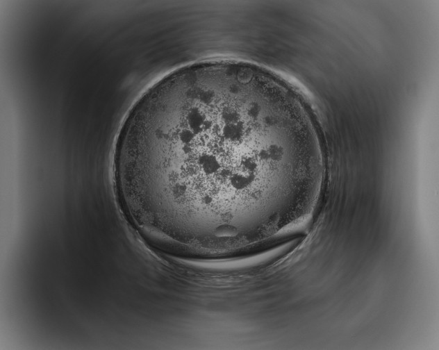 X0000093501279200710121507