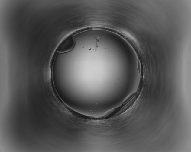 X0000093501280200710121507