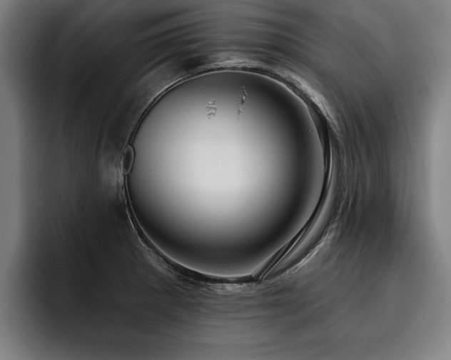 X0000093501281200710121507