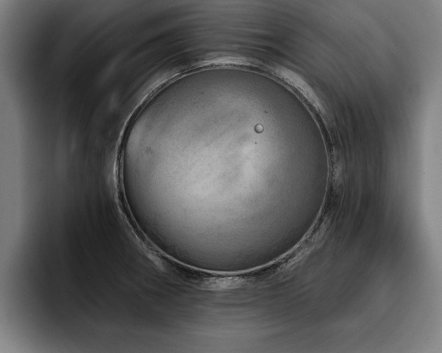 X0000093501282200710121506